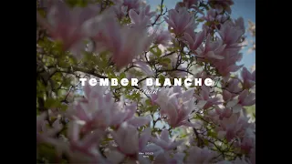 AGlivewith Tember Blanche - Тиша (2 May 2023 , Kyiv)