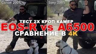 CanonEOS-R vs Sony A6500 4k Битва