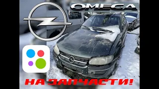 Opel Omega B по запчастям
