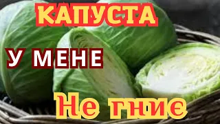 РОБЛЮ ТАК‼️/ КАПУСТА НЕ ГНИЄ І ЧАС СВІЙ ЗБЕРІГАЮ🥬