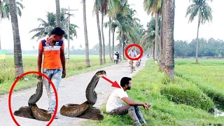 Giant Fake Snake Prank | Most Funny Reaction | LahoriFied Pranks @star_fun_0.2