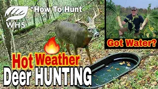 6 Ways To Hunt Deer In HOT Weather