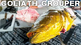 How To Catch & Cook GOLIATH GROUPER - Part 2