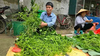 Harvesting Chayote Tops Goes to market sell - Taking care of pets - Solo Survival