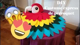 {DIY} costume express de perroquet - Express costume of parrot