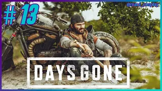 Days Gone - Прохождение Hard - Стрим №13