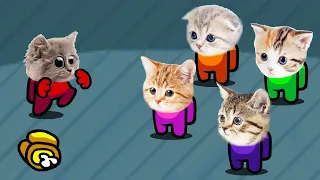 Among Us But It's Impostor Cats (Distraction Dance Animation)