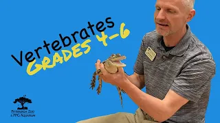 Vertebrates: Grades 4-6 (Education Video Series)