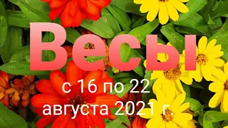 Весы Таро - гороскоп с 16 по 22 августа  2021 г.