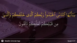 Al-Baqarah ayat 21
