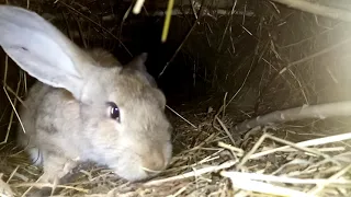 Кроличья нора из нутри🐇 😉