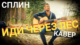 Иди через лес - Сплин / кавер / Казлитин /одна из любимых песен