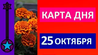 Карта дня 25 октября 2021 Таро прогноз.