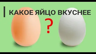 🥚📌ВЛИЯЕТ ЛИ ЦВЕТ ЯЙЦА НА ПИТАТЕЛЬНОСТЬ. А ТЫ ЗНАЛ?