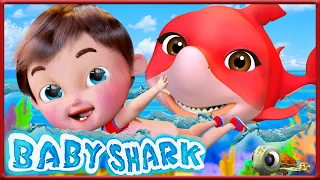 Baby Shark , Wheels on the Bus , Happy Birthday Song , Bingo School Dog Song - Banana Cartoon  Song