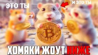 ТОЛПА ЖДЁТ 52 000$ ПОКА КИТЫ ПОКУПАЮТ ПО ЛЮБОЙ ЦЕНЕ! 52 000$ = 32 000$ ДЛЯ ХОМЯКОВ! ПРОГНОЗ BTC 2024