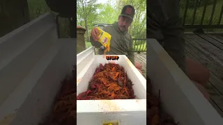 DUSTING CRAWFISH | Louisiana Crawfish Company