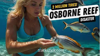 How did 2 Million Tires Kill The Osborne Reef?