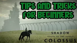 6 Tips and Tricks for Beginners | Shadow of the Colossus