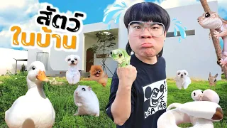 สัตว์เลี้ยงทั้งหมด..ในบ้านหลังใหม่!! 1 วันดูแลทำความสะอาดสัตว์เลี้ยง