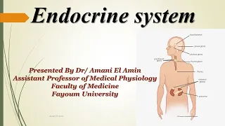 Endocrine Module ( Revision I )