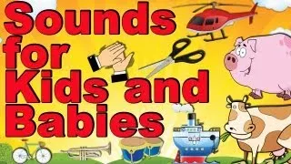 Transportation, Animals, Musicals, Home Stuffs, Body and more Sounds for Kids and Babies #