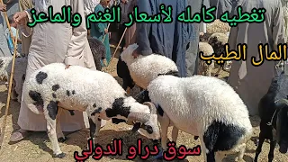 اسعار الغنم والماعز داخل سوق دراو بمحافظة أسوان اليوم ٢٠٢٤/٥/١٤