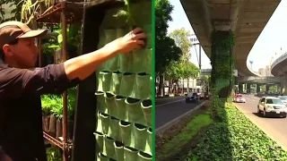 Mexico City raises green awareness with vertical gardens