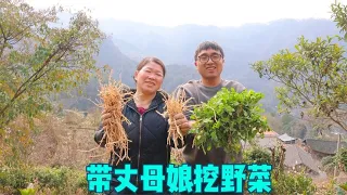 爸妈不在家，冬宝带岳母去挖野菜吃，地菜鱼腥草搞一篮子，太香啦