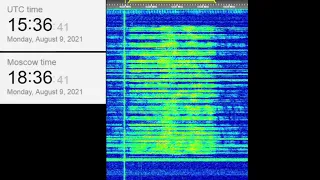 The Buzzer/UVB-76(4625Khz) August 9, 2021 15:36UTC Voice message