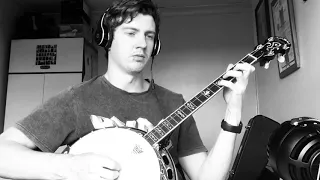 Irish Tenor Banjo; “The Masons Apron”