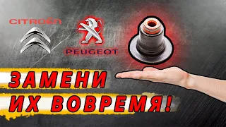 На Пежо и Ситроен меняйте маслосъемные колпачки ВОВРЕМЯ!