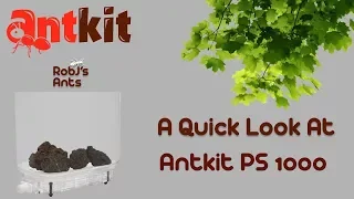 AntKit | PS Arena 1000 (Small)