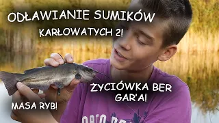 ODŁAWIANIE SUMIKÓW KARŁOWATYCH 2! ŻYCIÓWKA BER GAR'A!