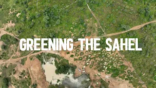 Greening the Sahel: Healthy ecosystems for healthy diets