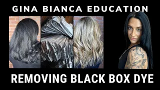 Removing Black Box Dye w/ Gina Bianca