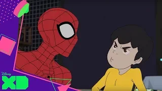 Marvel Spider-Man Shorts Ep. 9 Riña en el escenario | Disney XD Oficial