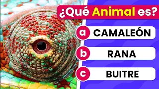 Adivina el ANIMAL con ZOOM 🔍🐻| Test de Animales | ¿Cuántos Reconoces 🤔✅?
