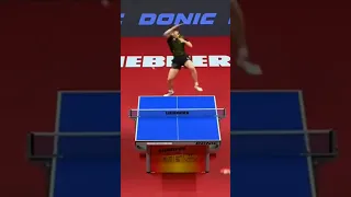 Ma Long Vs Timo-Boll craziest point ever in table tennis.