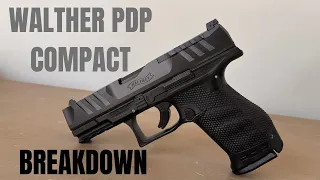WALTHER PDP COMPACT BREAKDOWN AND CLEANING (4K VIDEO)