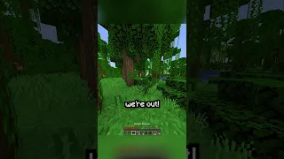 Minecraft, But If I Jump The Video Ends