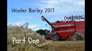 Winter Barley Harvesting (Part 1) Combining with Massey Ferguson 36