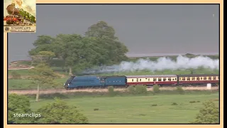 Blue A4 at High Speed on the Exe Estuary. The Cathedrals Express. 21 May 2013