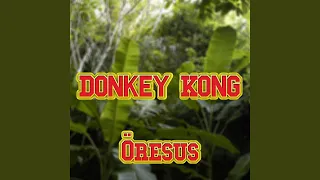 Donkey Kong 2019 (Steinkjerrussen)
