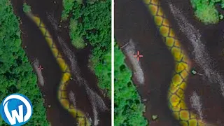 The Most Dangerous River Monsters Of The Amazon!