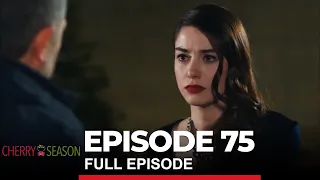 Cherry Season Episode 75