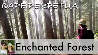 Hiking the Enchanted Forest of Cape Perpetua Scenic Area - Oregon Coast