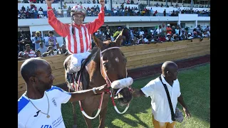 JAMAICA RACING: Fearless Soul Gives Shaun Bridgmohan 1st Local Winner, Sat Feb 3, 2024, 7th