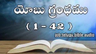 JOB TELUGU BIBLE AUDIO | యోబు గ్రంధము 1-42