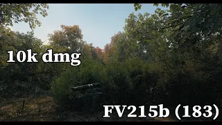 World of Tanks FV215b (183) - 10k damage 6 kills - Malinovka – Standard